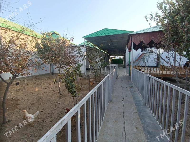 Änew yer jay - Анев - img 3