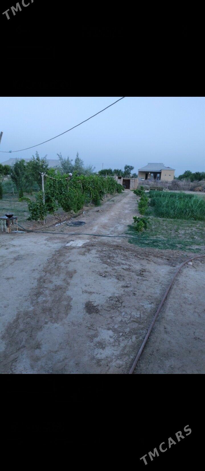 Satlyk jaý - Baýramaly - img 2