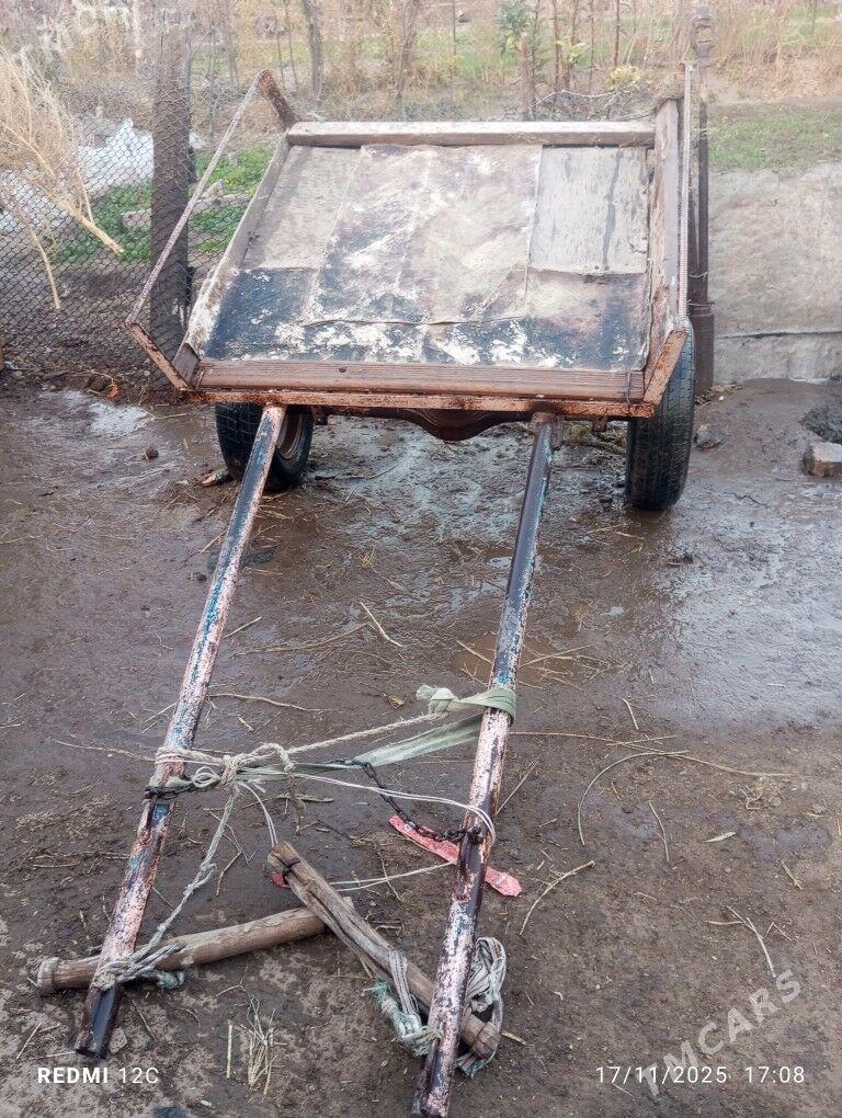 eşek we araba - Фарап - img 4