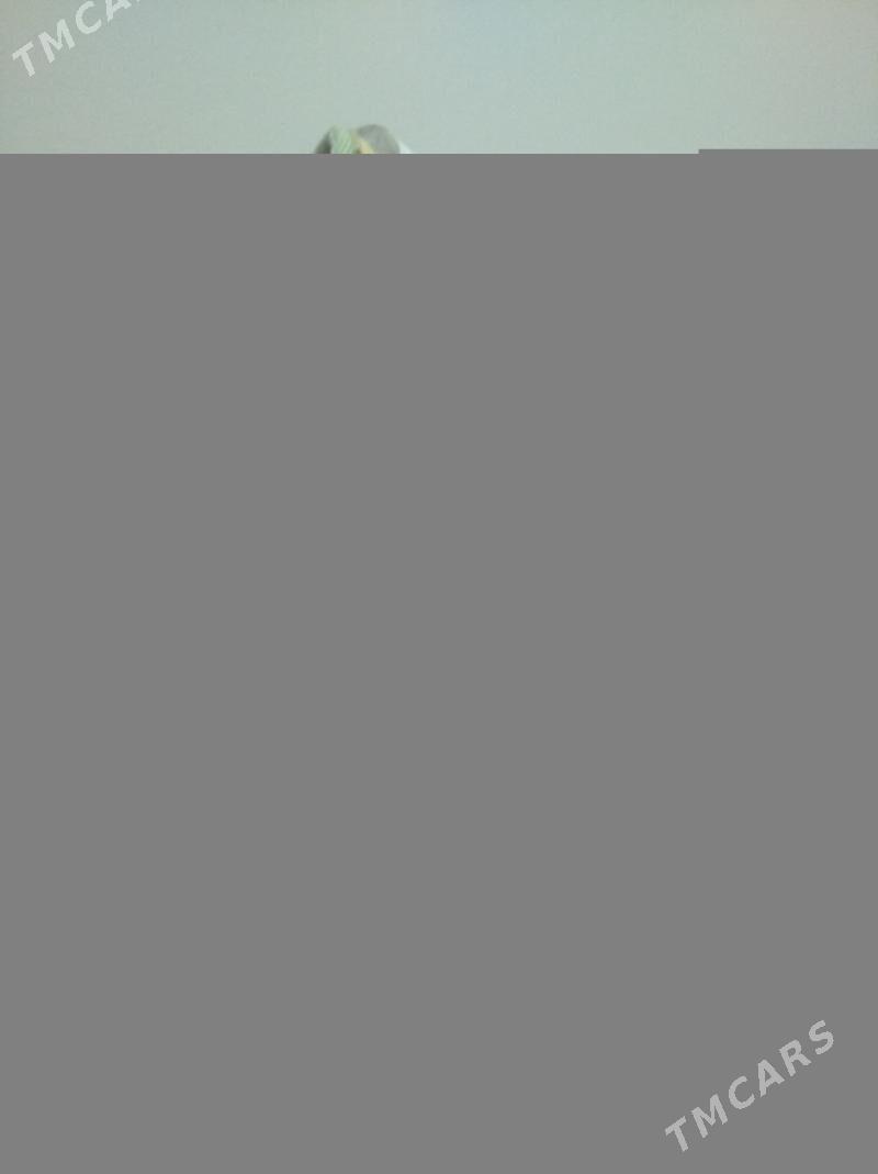 gyz caga esikleri - Мары - img 9