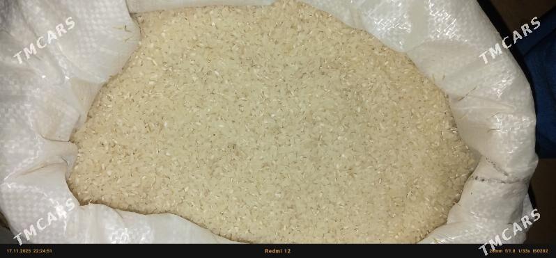 tüwi - Sakar - img 3