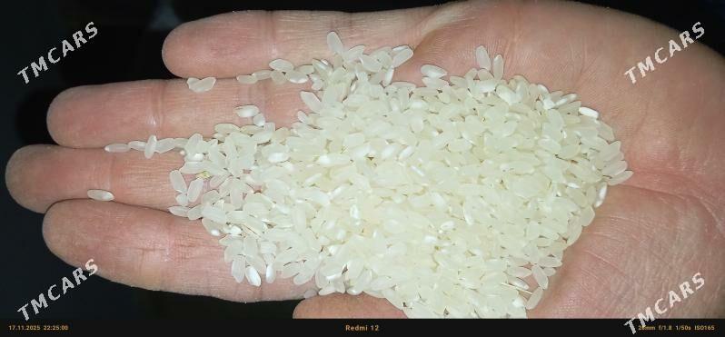 tüwi - Sakar - img 2