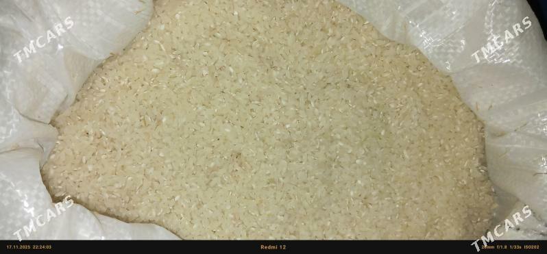 tüwi - Sakar - img 4