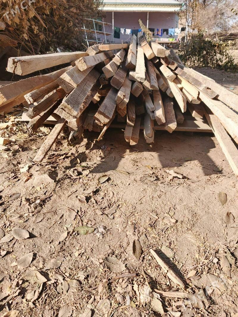 Agaç reýke Агач рейке - Гороглы (Тагта) - img 3