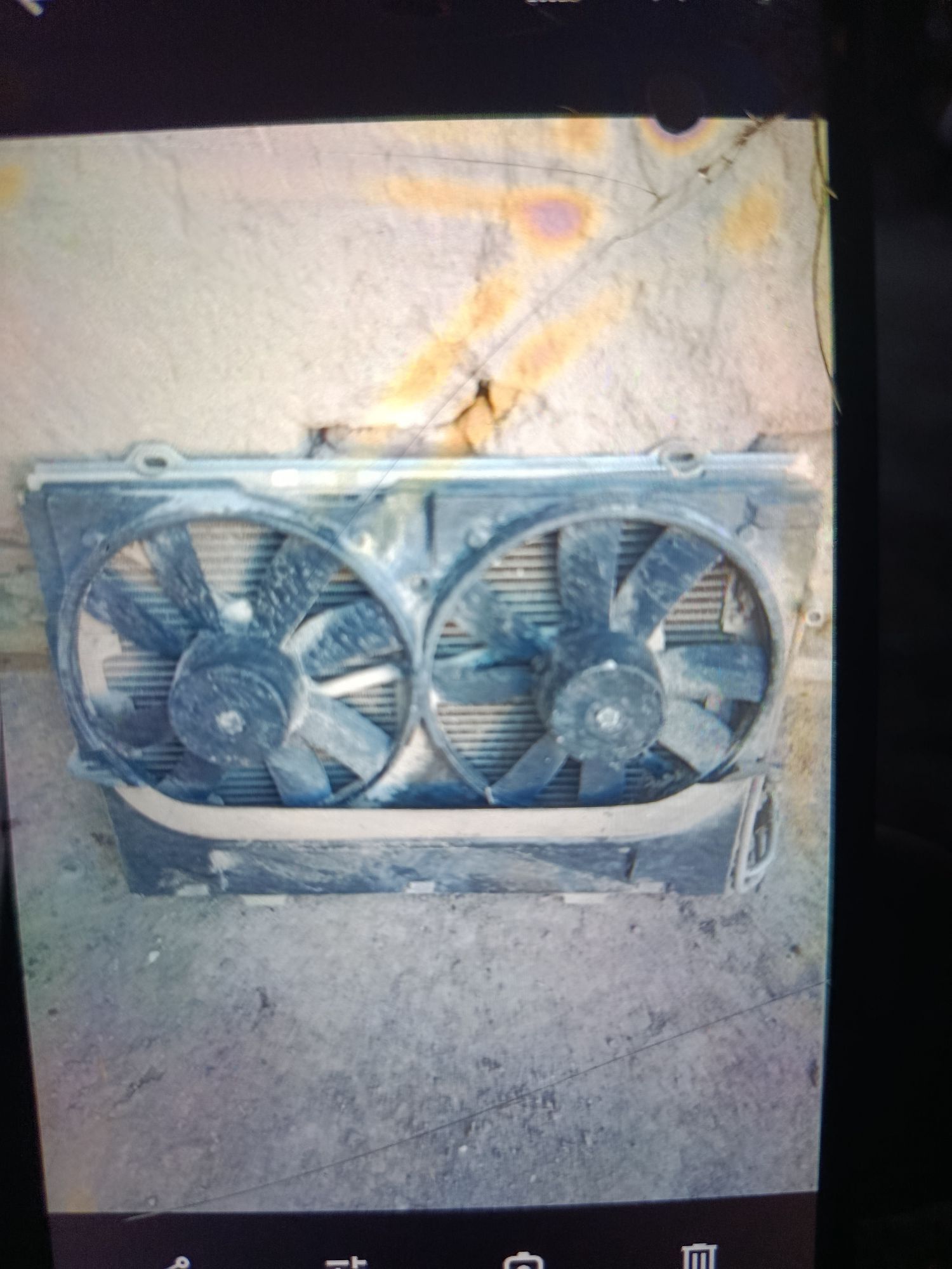 zapjaslar 100 TMT - Daşoguz - img 5