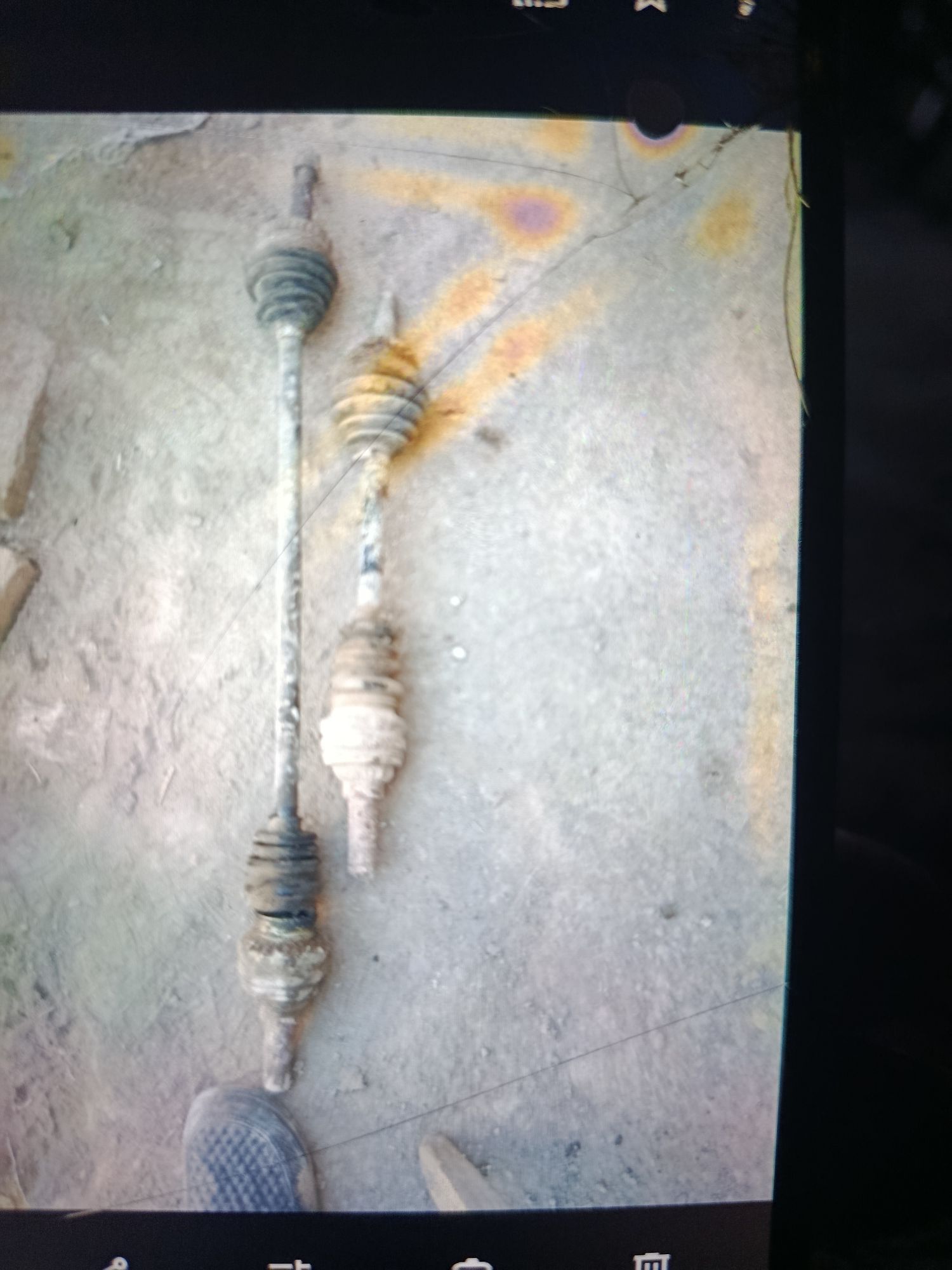 zapjaslar 100 TMT - Daşoguz - img 3