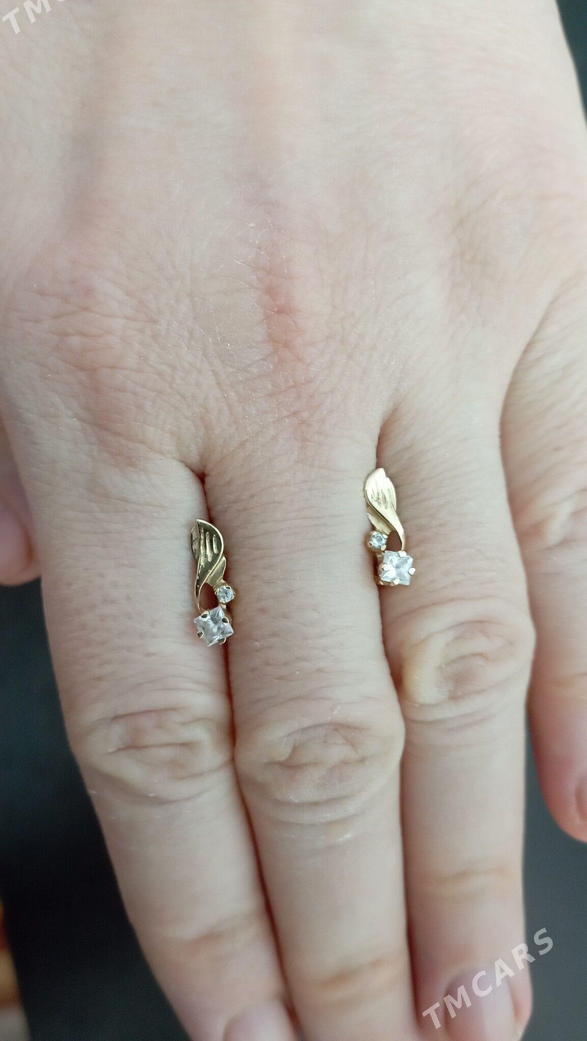 gulakhalka - Büzmeýin - img 3