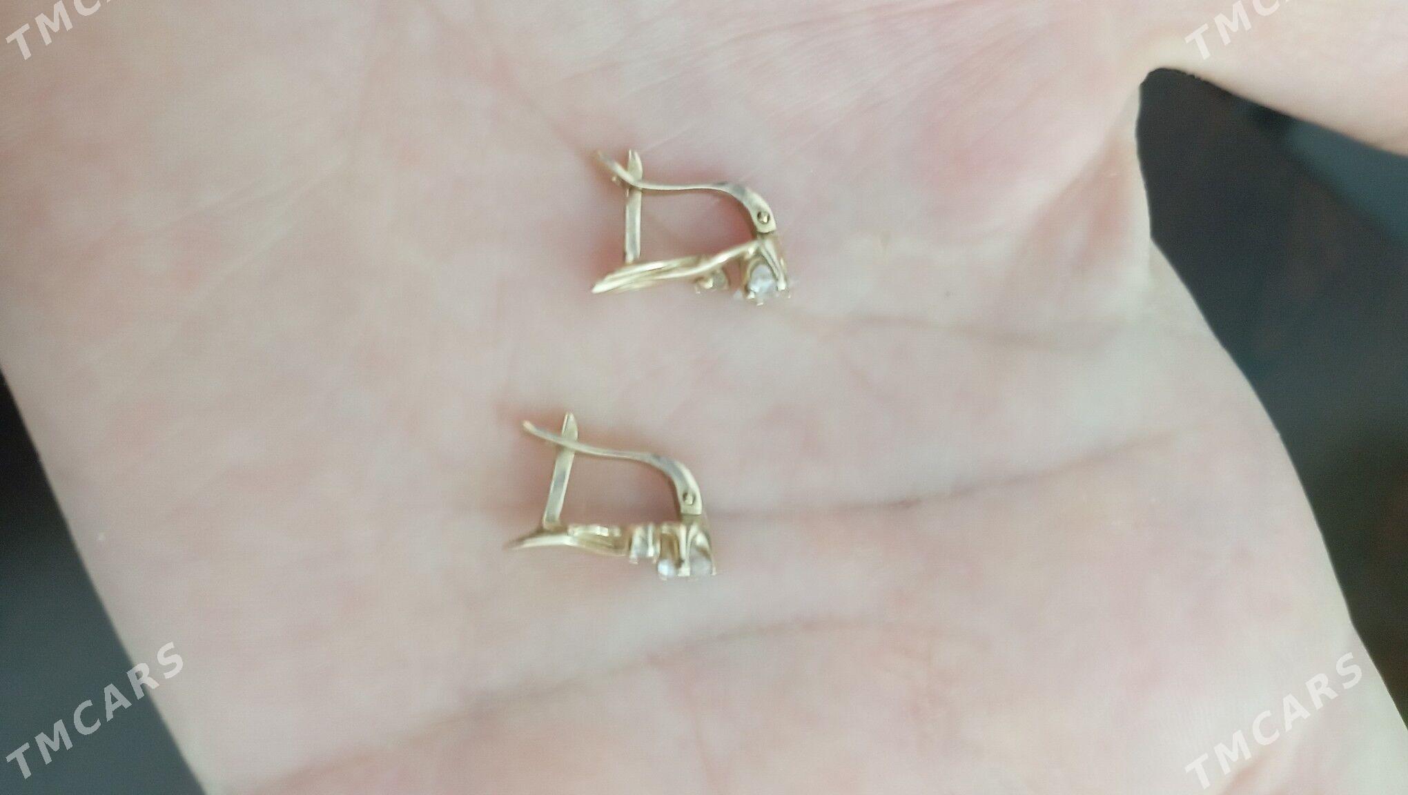 gulakhalka - Büzmeýin - img 2