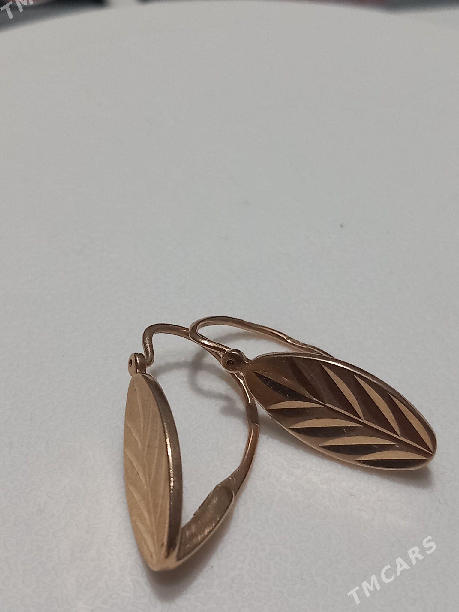 Gulakhalka - Mary - img 1