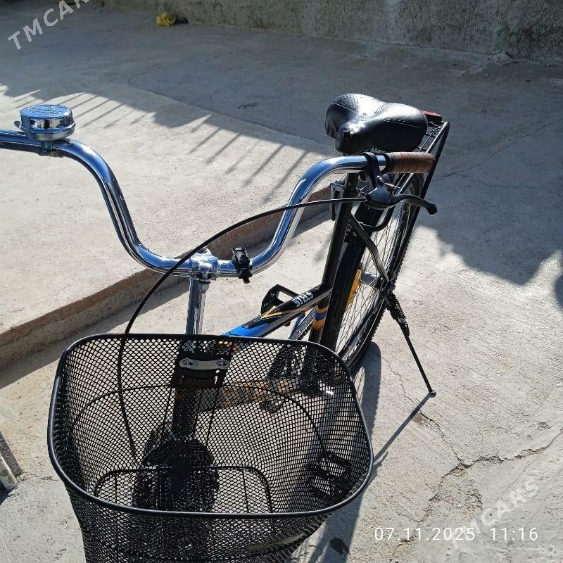 taze tigir - Ak bugdaý etraby - img 3