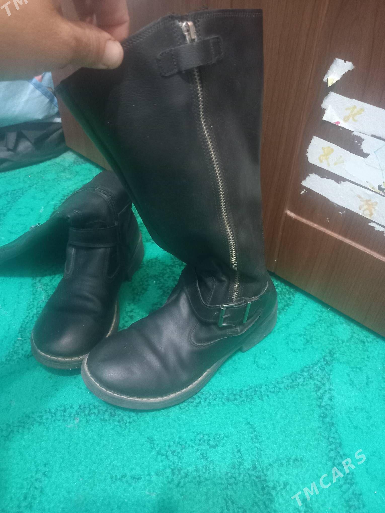 çaga adik - Гаудан "Б" - img 1