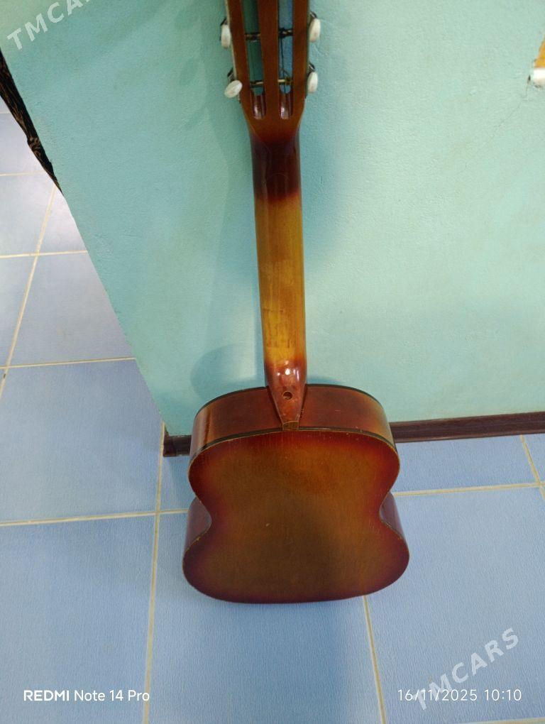 Gitara ukrainski - Гумдаг - img 3