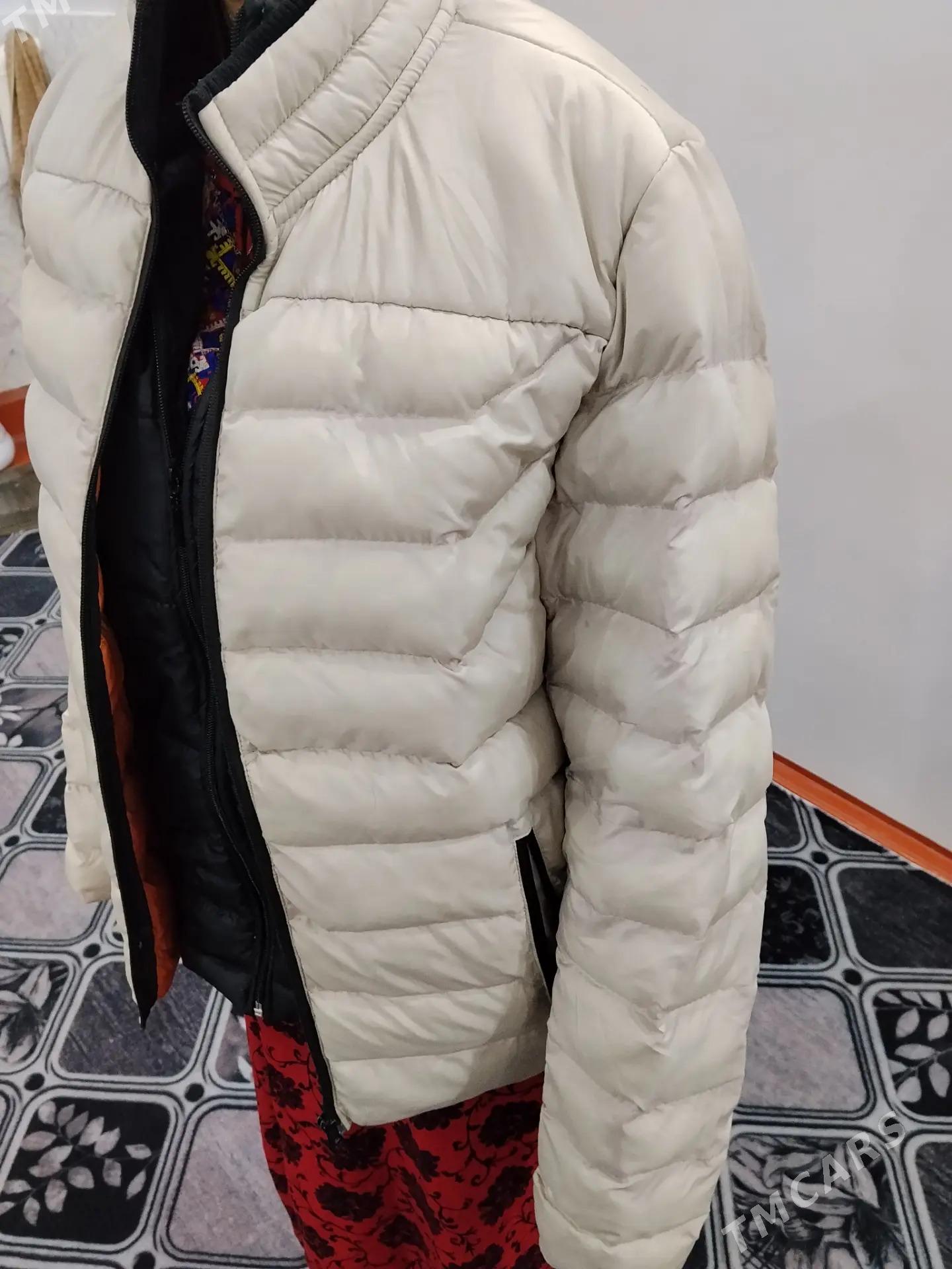 kurtka - Daşoguz - img 2