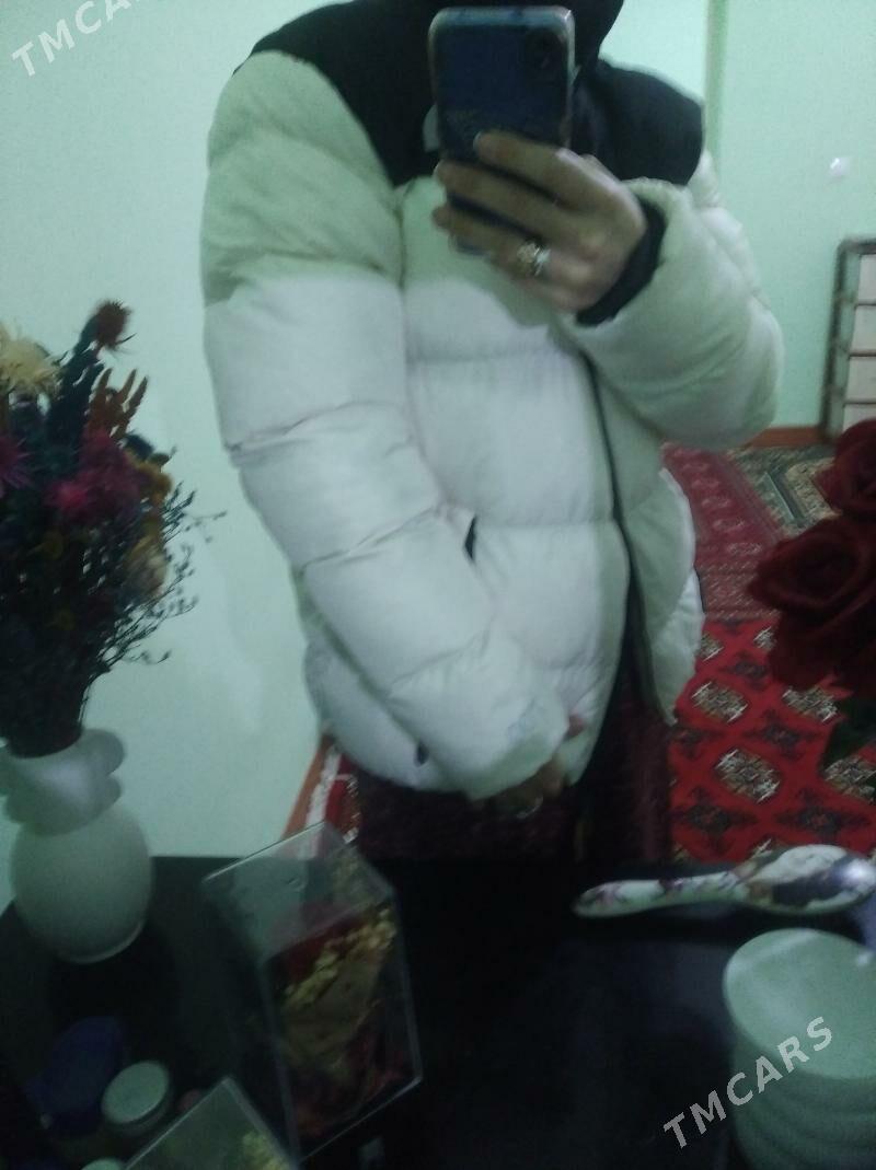 kurkalar - Daşoguz - img 2