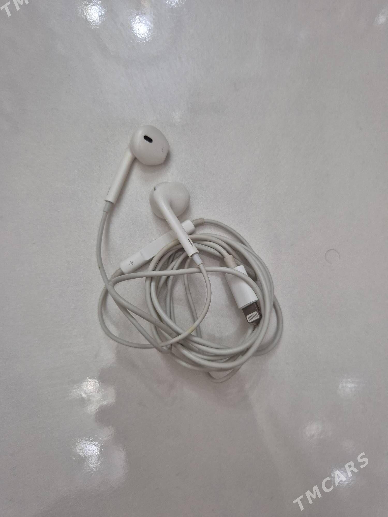 Nauşnik - Aşgabat - img 2