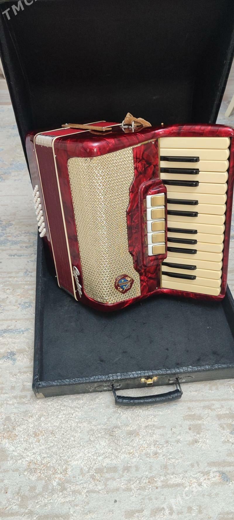 Аккордеон Cyclop - 10 mkr - img 3