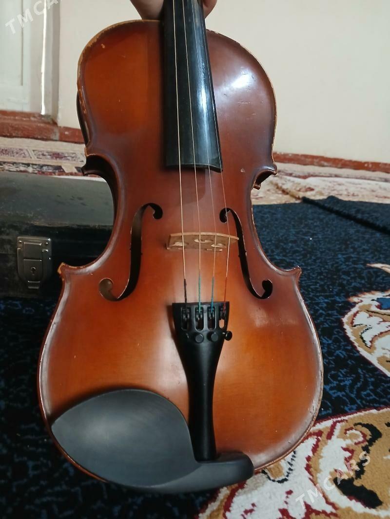 Skripka - Gurtly - img 1