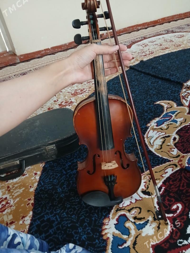 Skripka - Gurtly - img 3