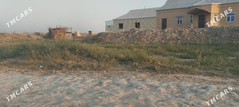 Melek peşanaly ŷoluñ ury - Мары - img 1