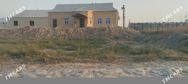 Melek peşanaly ŷoluñ ury - Мары - img 2