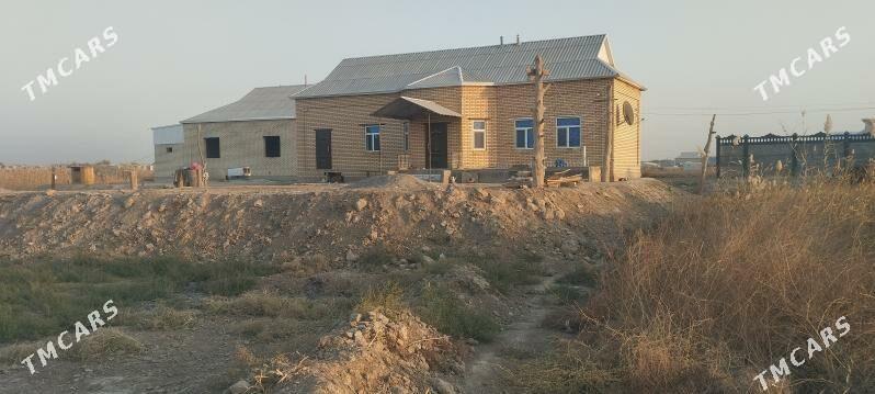 Melek peşanaly ŷoluñ ury - Мары - img 4