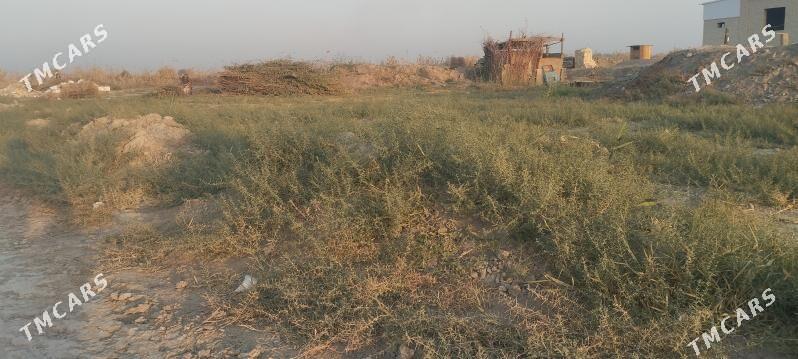 Melek peşanaly ŷoluñ ury - Мары - img 3