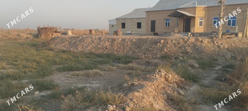 Melek peşanaly ŷoluñ ury - Мары - img 5