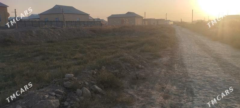 Melek peşanaly ŷoluñ ury - Мары - img 8