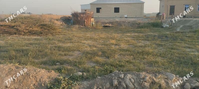 Melek peşanaly ŷoluñ ury - Мары - img 7