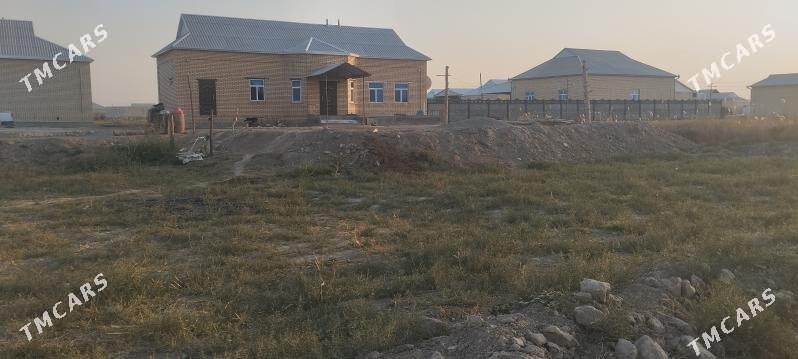 Melek peşanaly ŷoluñ ury - Мары - img 9