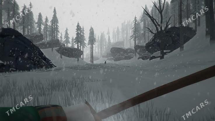 PC oyun The Long Dark - Türkmenabat - img 2