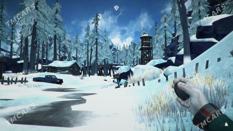 PC oyun The Long Dark - Türkmenabat - img 3