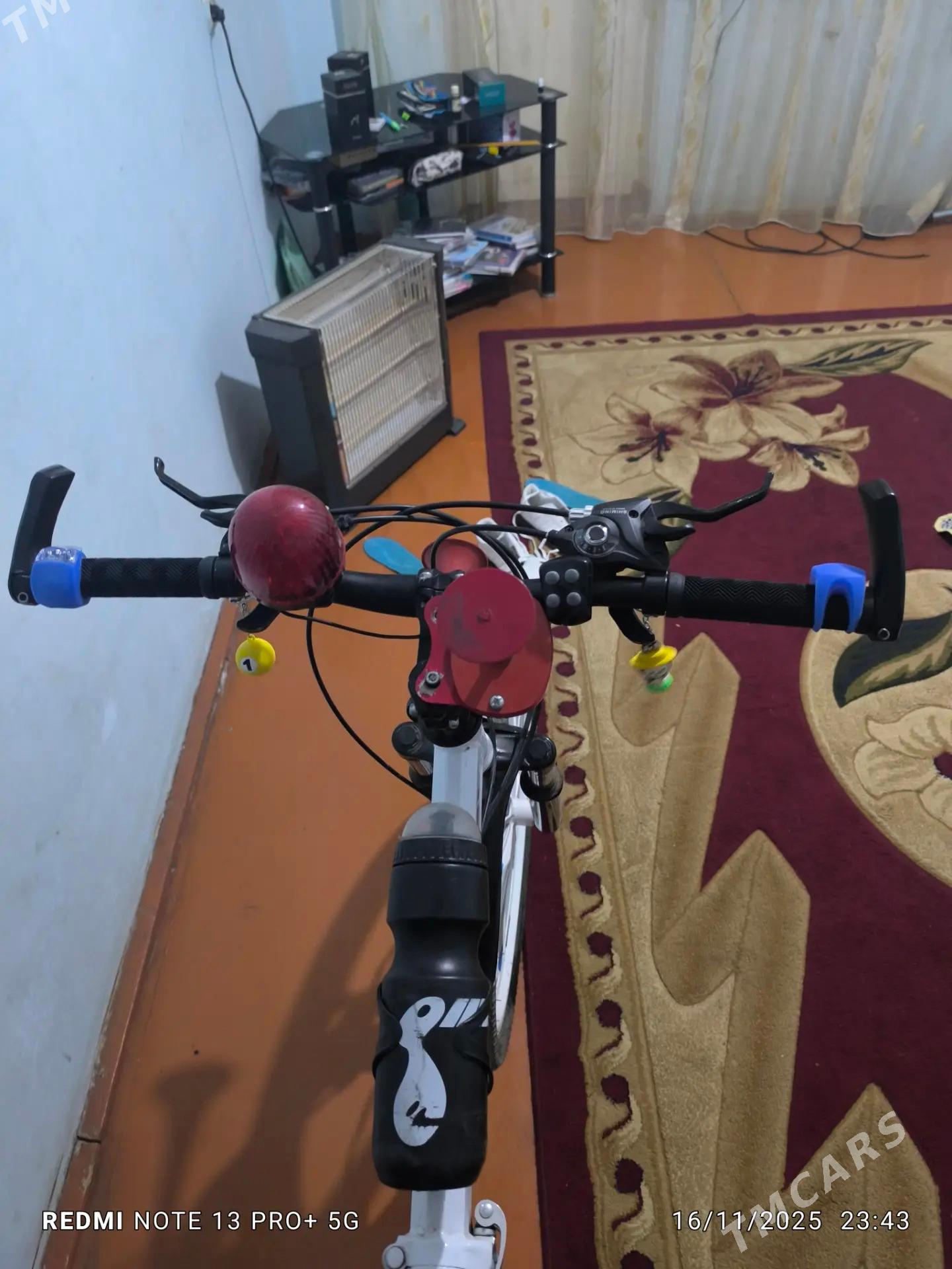 Welosopet - Türkmenabat - img 4