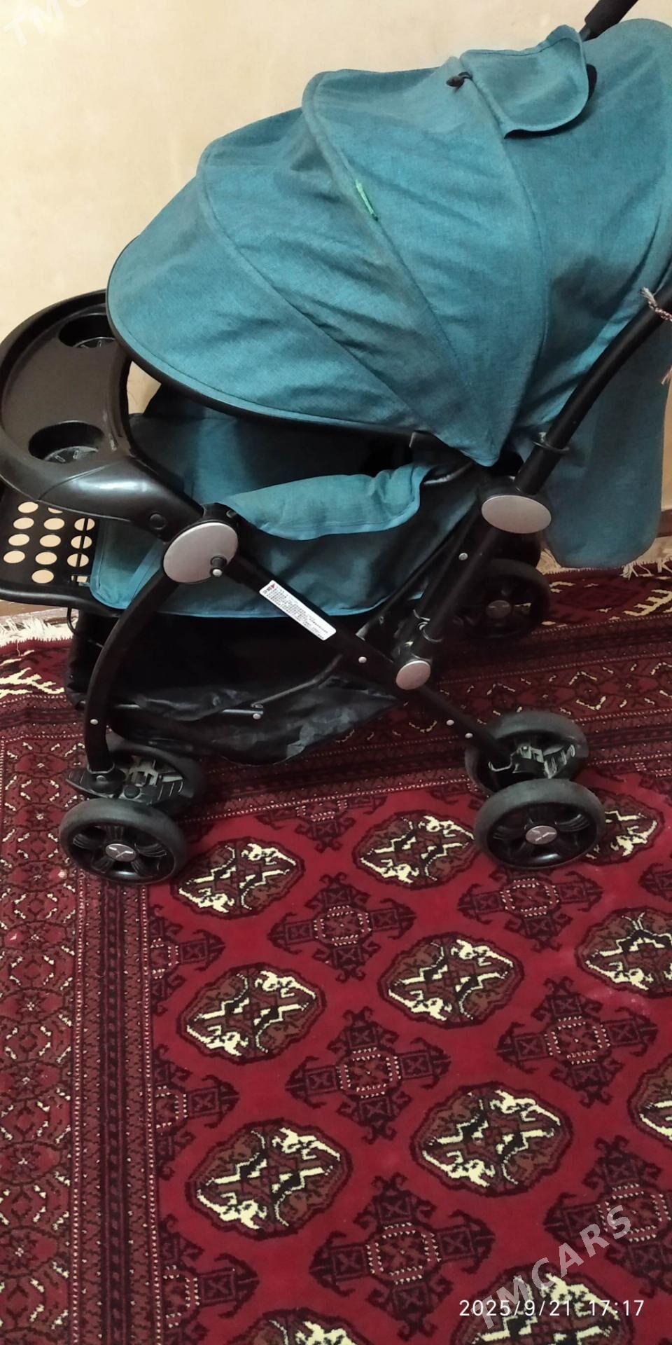 chagalar uchin - Türkmenabat - img 3