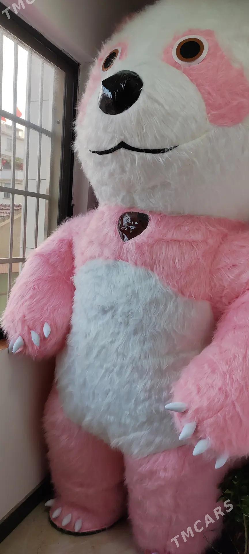 Içine girilýän aýy - Türkmenabat - img 2