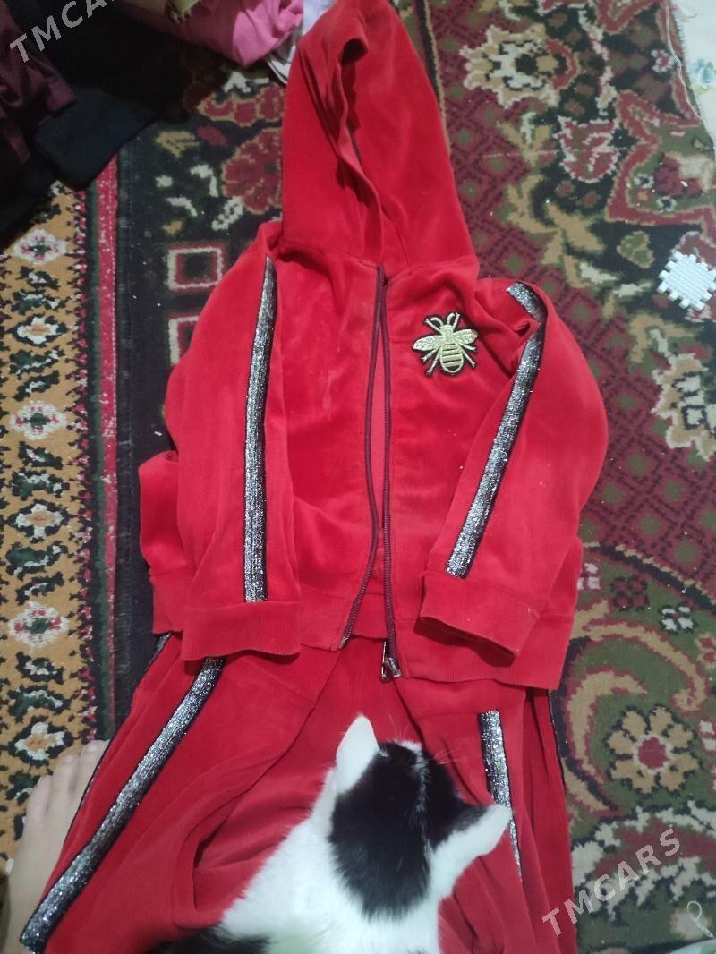 caqa eshik - Daşoguz - img 9