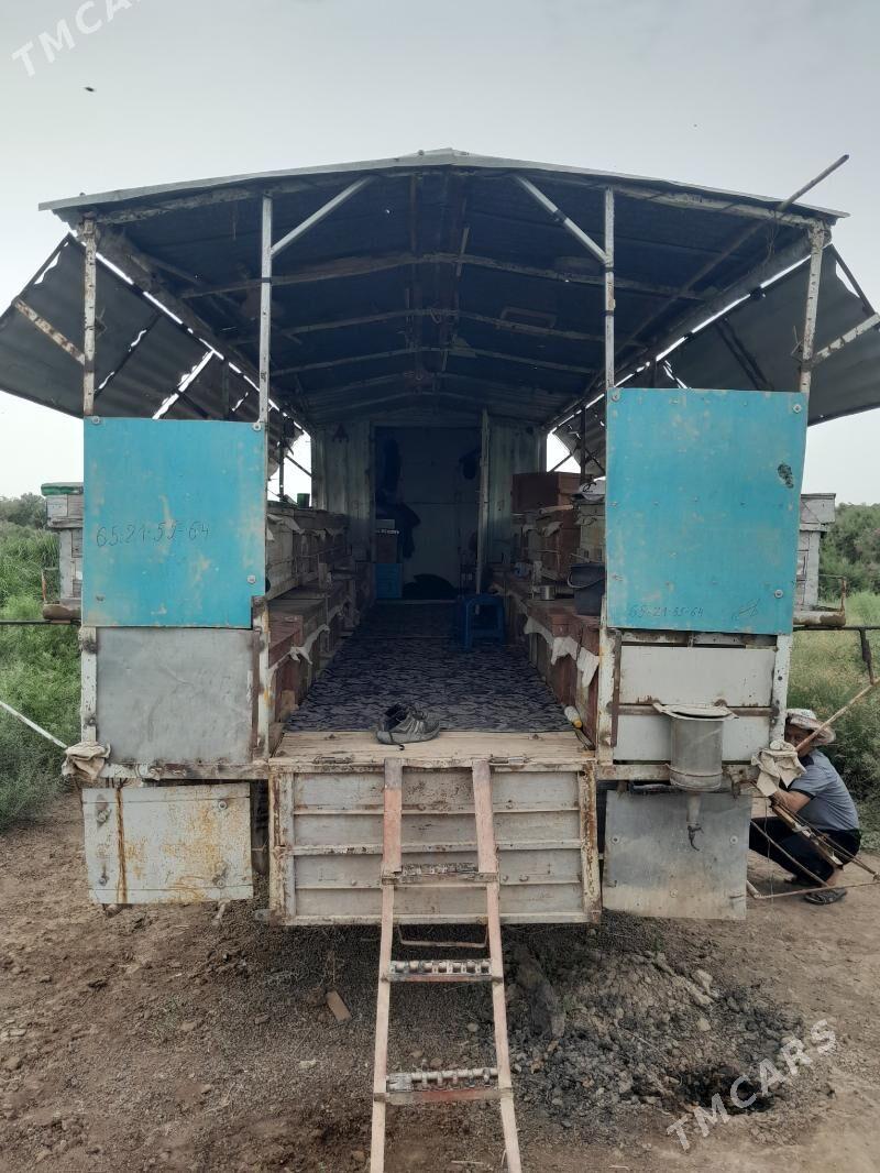 Bal ary enjamlary - Туркменабат - img 8