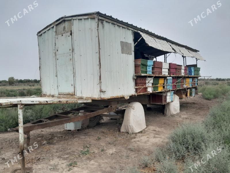 Bal ary enjamlary - Туркменабат - img 5