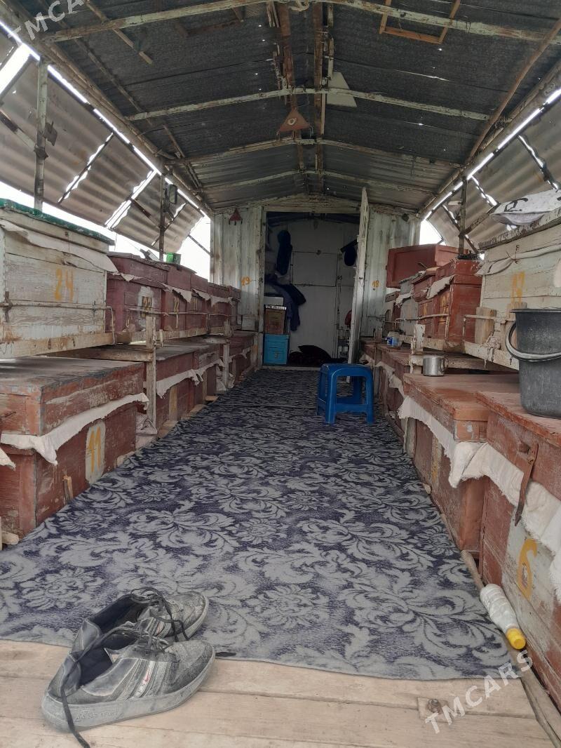 Bal ary enjamlary - Туркменабат - img 4