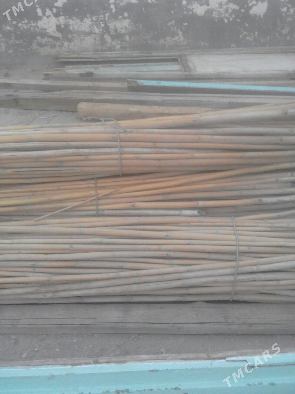 gamys gargy - Gumdag - img 2