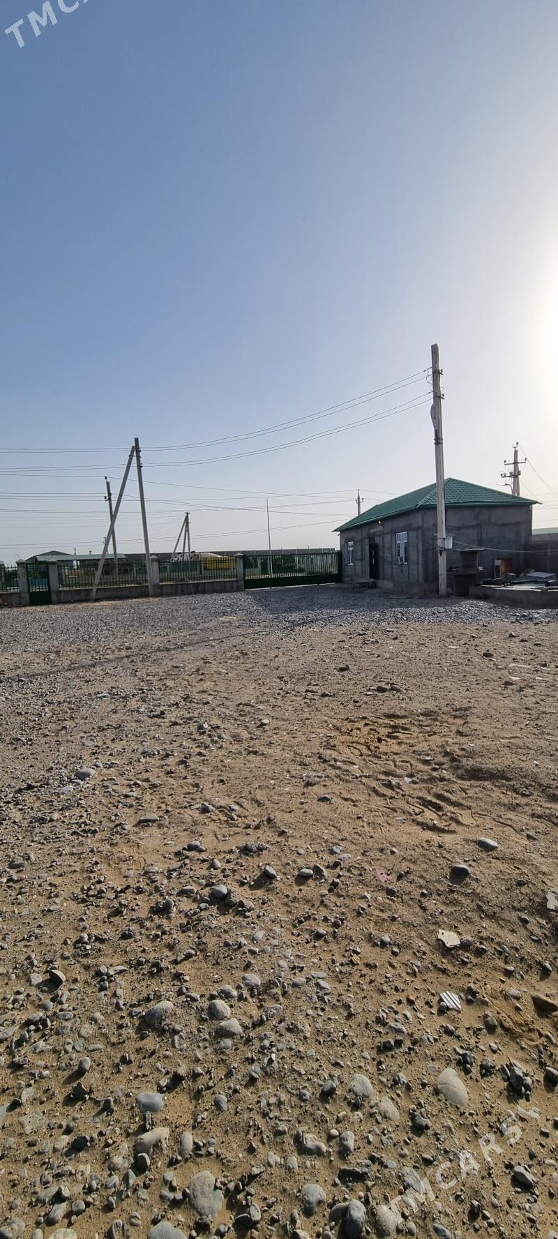 Owadan depe promzona - Aşgabat - img 6