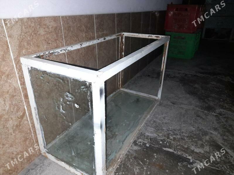 akwaryium - Çärjew - img 2