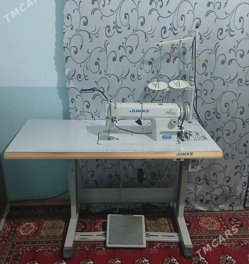 tikin masyn ady jukki - Кака - img 3