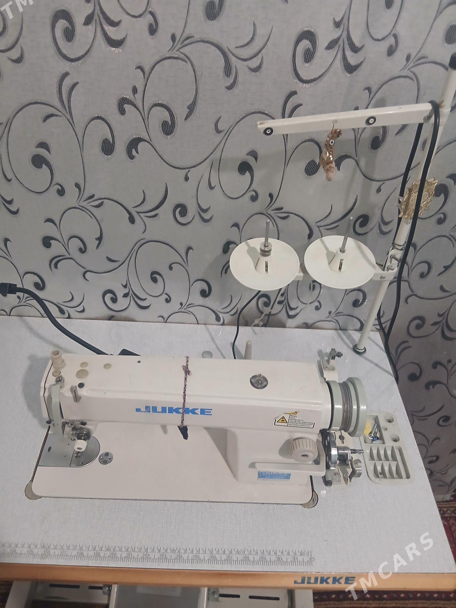 tikin masyn ady jukki - Кака - img 2