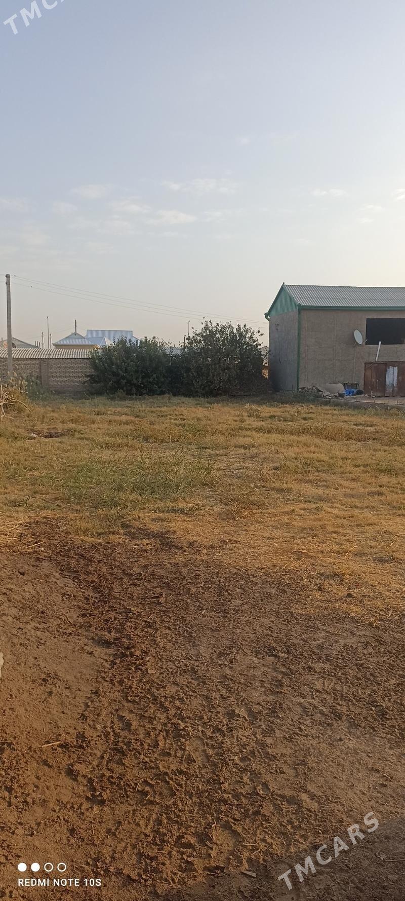 mellek muhot - Мары - img 2