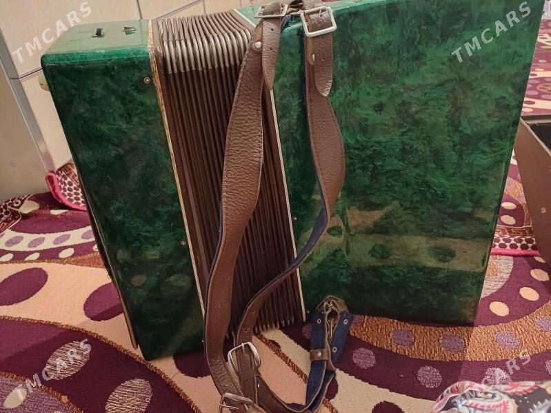 Akardion - Mary - img 3