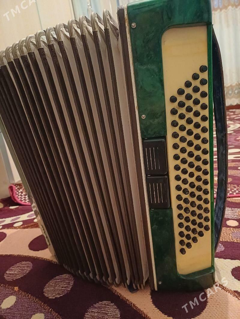 Akardion - Mary - img 5