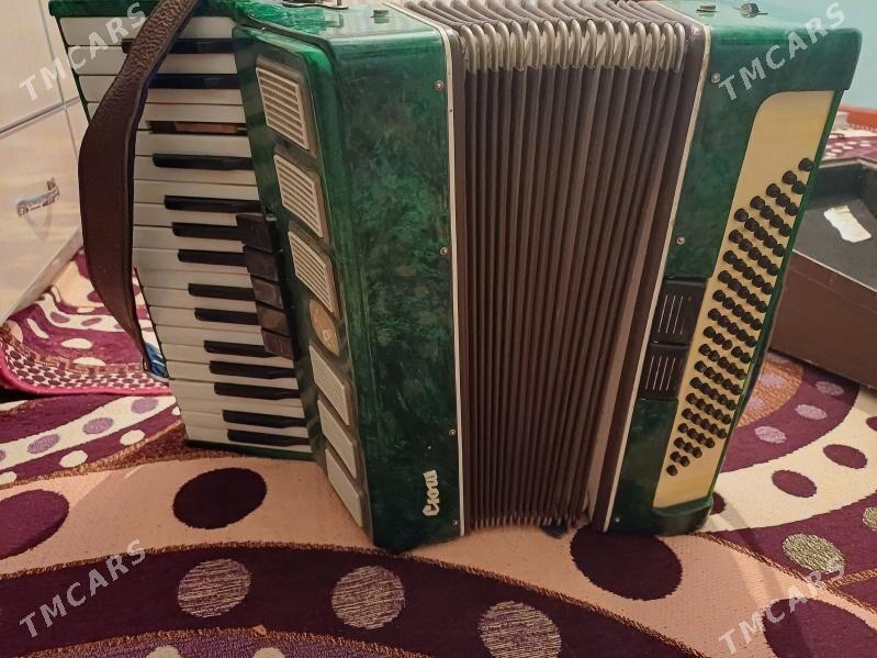 Akardion - Mary - img 6