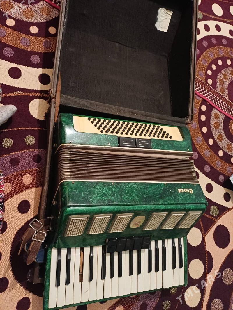 Akardion - Mary - img 2