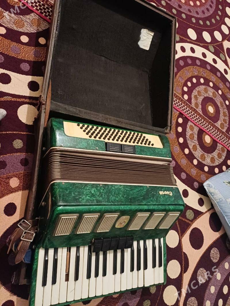 Akardion - Mary - img 1